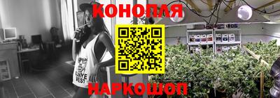 гашик Ипатово