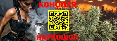 прущие грибы Ирбит