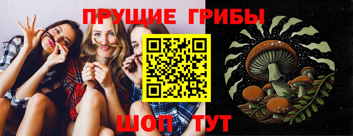 Минусинск  что такое наркотик  Вход с VPN  Галлюциногенные грибы мухоморы  Галлюциногенные грибы ЛСД 