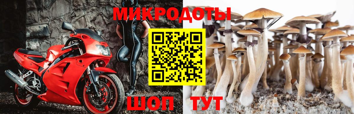 Галлюциногенные грибы GOLDEN TEACHER Минусинск